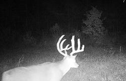 4245 Goodwater Road, Haworth, OK 74734