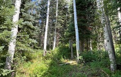 158 Engineer Drive, Durango, CO 81301