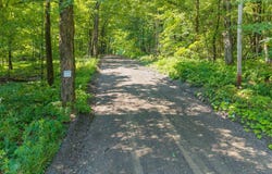 135 Dragoo Road, Maryland, NY 12155