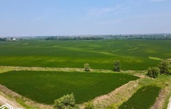 2199 115th St., Fairfield, IA 52556