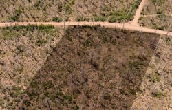 Mulligan lot: 459, Fort Garland, CO 81133
