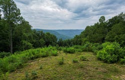 722 Flat Top View Lane lot: 326, Wilder, TN 38589