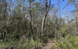 095 Mt Sinai Church, Butler, GA 31006