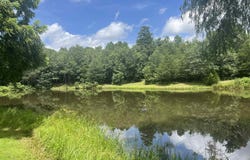 6067 Hwy 71 S, Cove, AR 71953