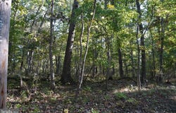 CEDAR LN, MARTINSBURG, WV 25404
