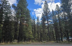 Hwy 21 Lots 8,9, Lowman, ID 83637