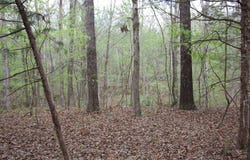 2787 BRYAN Rd, Michigan City, MS 38647