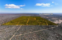 315 Guajolote Ranch Road, San Isidro, TX 78588