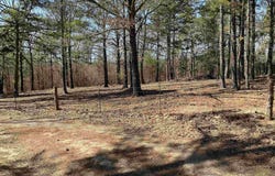 7500 AIRPORT Road, Bonnerdale, AR 71933