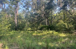 SE 226th Ave, Old Town, FL 32680