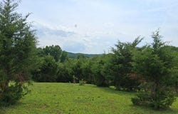 Buford Rd., Bybee, TN 37713