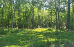 3151 N Highway 14, Greer, SC 29651