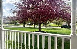 9519 Henry Street, Dyer, IN 46311