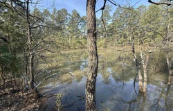 1314 Shoemaker Road, Violet Hill, AR 72584