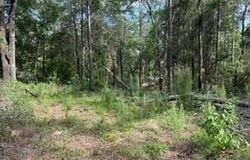 0000 St. Mary's River Bluff, LTD, Saint George, GA 31562
