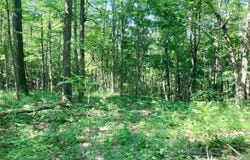 Setty Rd, Albany, OH 45710