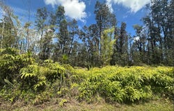 ROAD 5 (UAU), Kurtistown, HI 96760