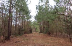 0 SC 200 Highway, Winnsboro, SC 29180