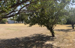 210 NW 2nd, Laverne, OK 73848