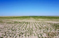 Road 8, Syracuse, KS 67878