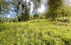 Malcolm Road, Barboursville, WV 25504
