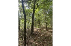 S Oak Road, Chattahoochee, FL 32324