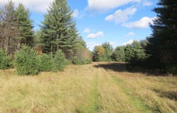369 Upper Jay-Trumbulls Corners Road, Jay, NY 12941