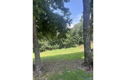 1.12 acres Savory Drive, Scottsboro, AL 35769