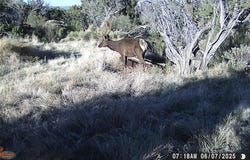 000 TBA, Quemado, NM 87829