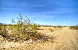 64533 3rd Street, Joshua Tree, CA 92252