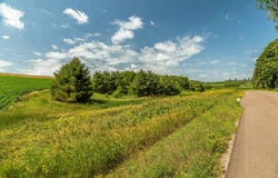 Lot 16 64.3 Acres Hefty Road, Monticello, WI 53570
