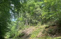 Shady Grove Court, Sevierville, TN 37876
