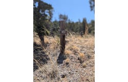 1957 DEER CANYON Trail, Mountainair, NM 87036