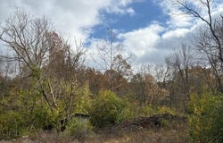 0 ky 47, Sanders, KY 41083