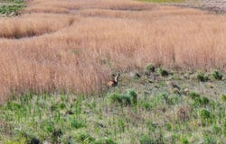 TBD County Road N, Eads, CO 81036