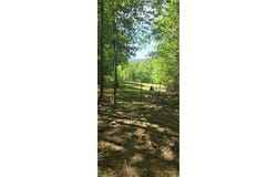 Goose Creek Lane, Ararat, VA 24053