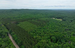 V/L 40a W 9 Mile Road, Irons, MI 49644