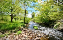 7 Bonnie Brook Road, Hancock, NY 12776