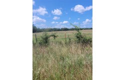 2441 County Road 3512, Dike, TX 75437