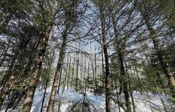 Plantation LN W 20, Rock, MI 49880
