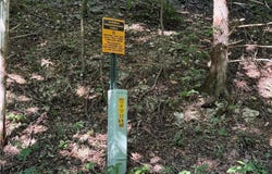 CR 995  RD, Green Forest, AR 72638