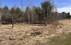 0 Miller Road, Mooers Forks, NY 12959