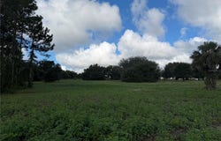 W LAKE YALE Road, UMATILLA, FL 32784