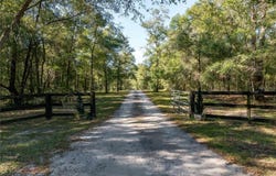 6490 NE 167TH AVENUE, WILLISTON, FL 32696