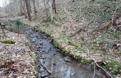 Watson Branch Lane, Speedwell, TN 37870