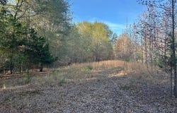 Tbd COUNTY ROAD 1412, Bogata, TX 75416
