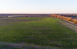 Tbd FM 128, Ben Franklin, TX 75415