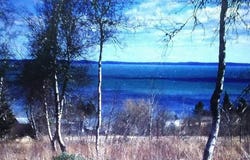 Lot 52 US- Route 1, Robbinston, ME 04668