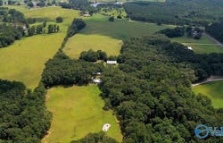 262 County Road 664, Coffee Springs, AL 36318