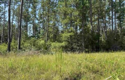 1.39 Acres Hood Rd, Denham Springs, LA 70726